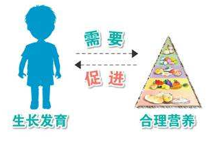 兒童生長(cháng)發(fā)育測試儀分析生長(cháng)發(fā)育的特點(diǎn)