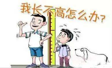 兒童身高體重測量?jì)x談孩子“矮小”和“晚長(cháng)”的區別