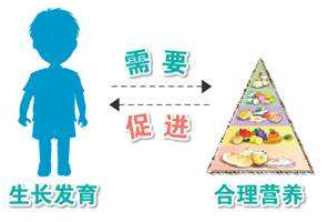 兒童生長(cháng)發(fā)育測試儀談兒童生長(cháng)發(fā)育的特點(diǎn) 兒童生長(cháng)發(fā)育測試儀談兒童生長(cháng)發(fā)育的特點(diǎn)