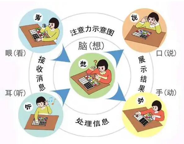 兒童注意力測試儀提示兒童生長(cháng)發(fā)育關(guān)鍵階段與共同注意初期發(fā)展里程